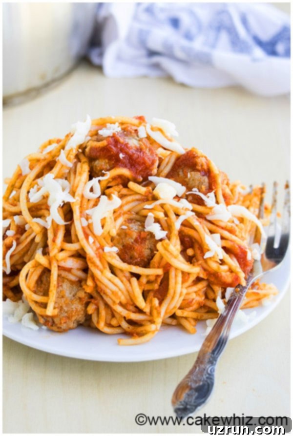 A bowl of hot, comforting One Pot Spaghetti and Meatballs, ready to be enjoyed.