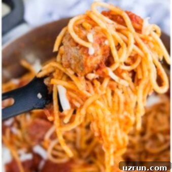 One Pot Wonder Spaghetti and Meatballs 5 Spoonful of Easy Spaghetti and Meatballs- Closeup Shot.