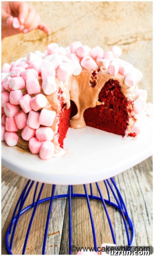 Best Red Velvet Cake From Scratch 5 Tiny Kinds Hands Decorating Cake With Mini Marshmallows