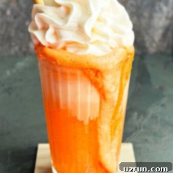 Easy Two Ingredient Ice Cream Float 5 Easy Ice Cream Float With Fanta or Crush and Topped With Whipped Cream in Glass Cup
