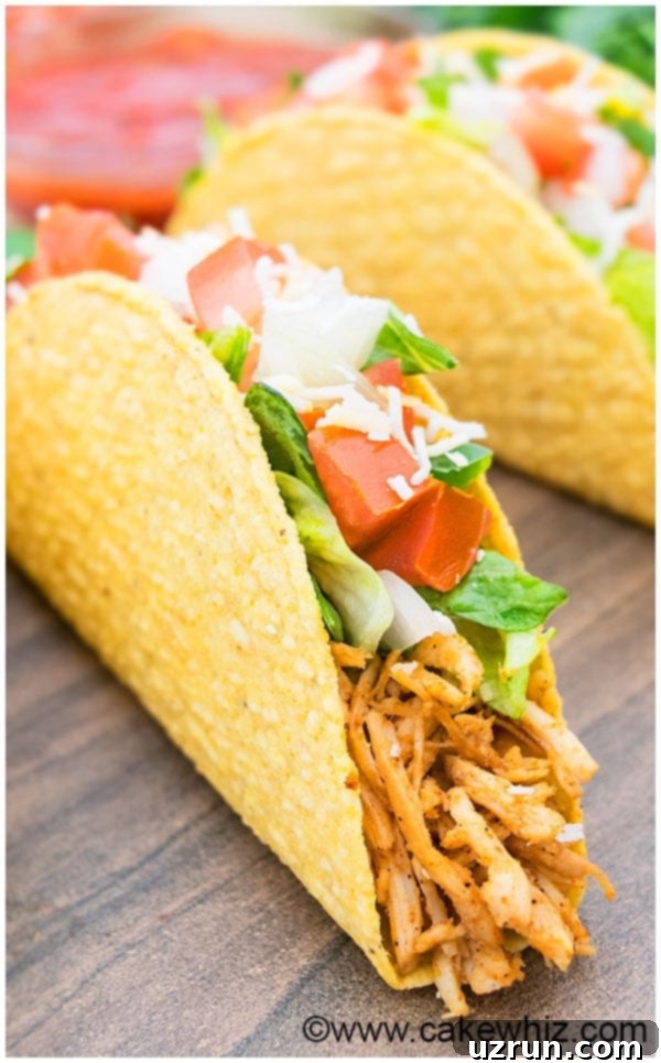 Shredded Chicken Tacos Recipe 7