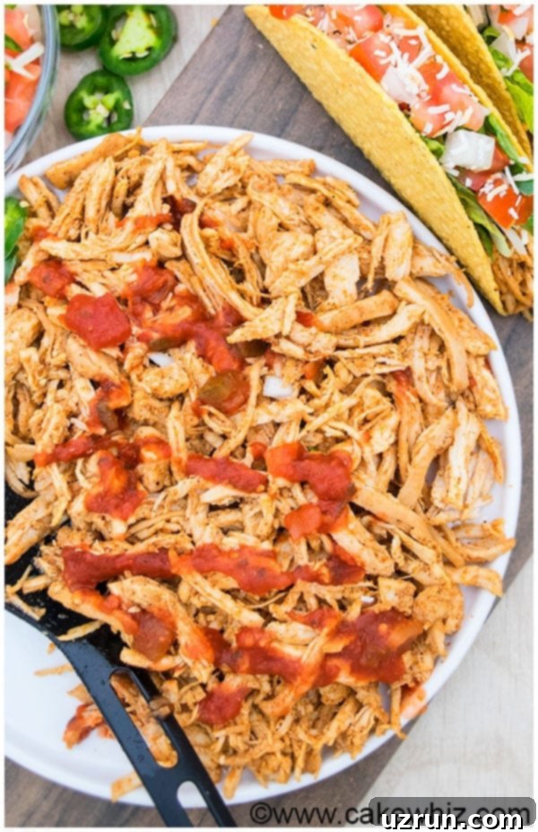 Shredded Chicken Tacos Recipe 4