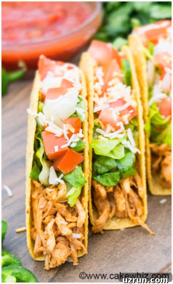 Shredded Chicken Tacos Recipe 12