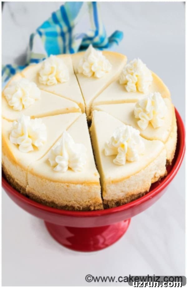 Classic New York Cheesecake Recipe