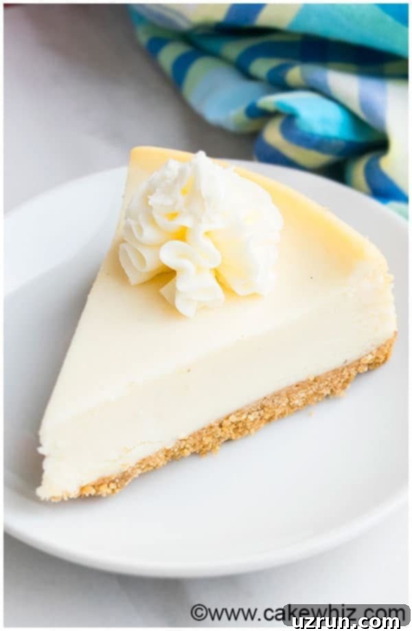 New York Cheesecake Recipe without a Water Bath 3 Easy New York Cheesecake Recipe
