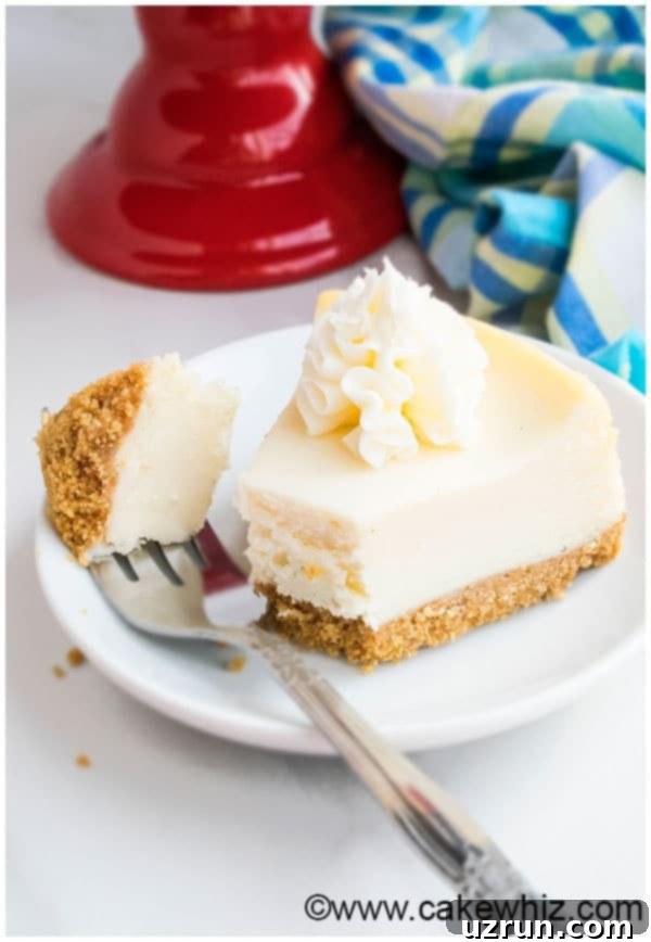 New York Cheesecake Recipe without a Water Bath 5 Easy New York Style Cheesecake Recipe
