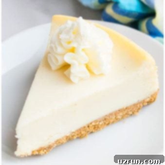 New York Cheesecake Recipe without a Water Bath 6 Easy New York Cheesecake Recipe