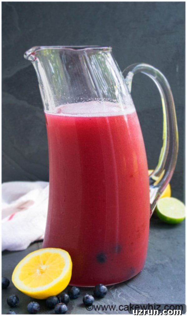 Sparkling Blueberry Lemonade Recipe, garnished with fresh blueberries and lemon slices in a clear glass