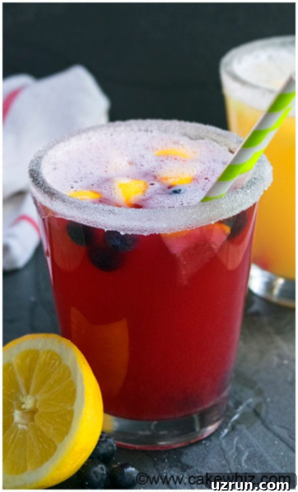 Close-up of Sparkling Blueberry Lemonade, showing the vibrant blue color, bubbles, and fresh fruit garnishes