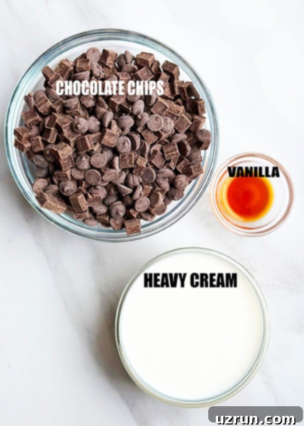 Easy Chocolate Fondue 3 Ingredients 3 Ingredients For Fondue in Glass Bowls on White Background.