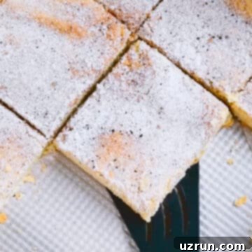 Perfectly Soft and Chewy Snickerdoodle Bars 11 Closeup shot of slice on a wide spatula.