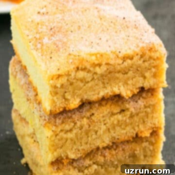 Perfectly Soft and Chewy Snickerdoodle Bars 13 Easy Snickerdoodle Bars Stacked on a Rustic Gray Background.