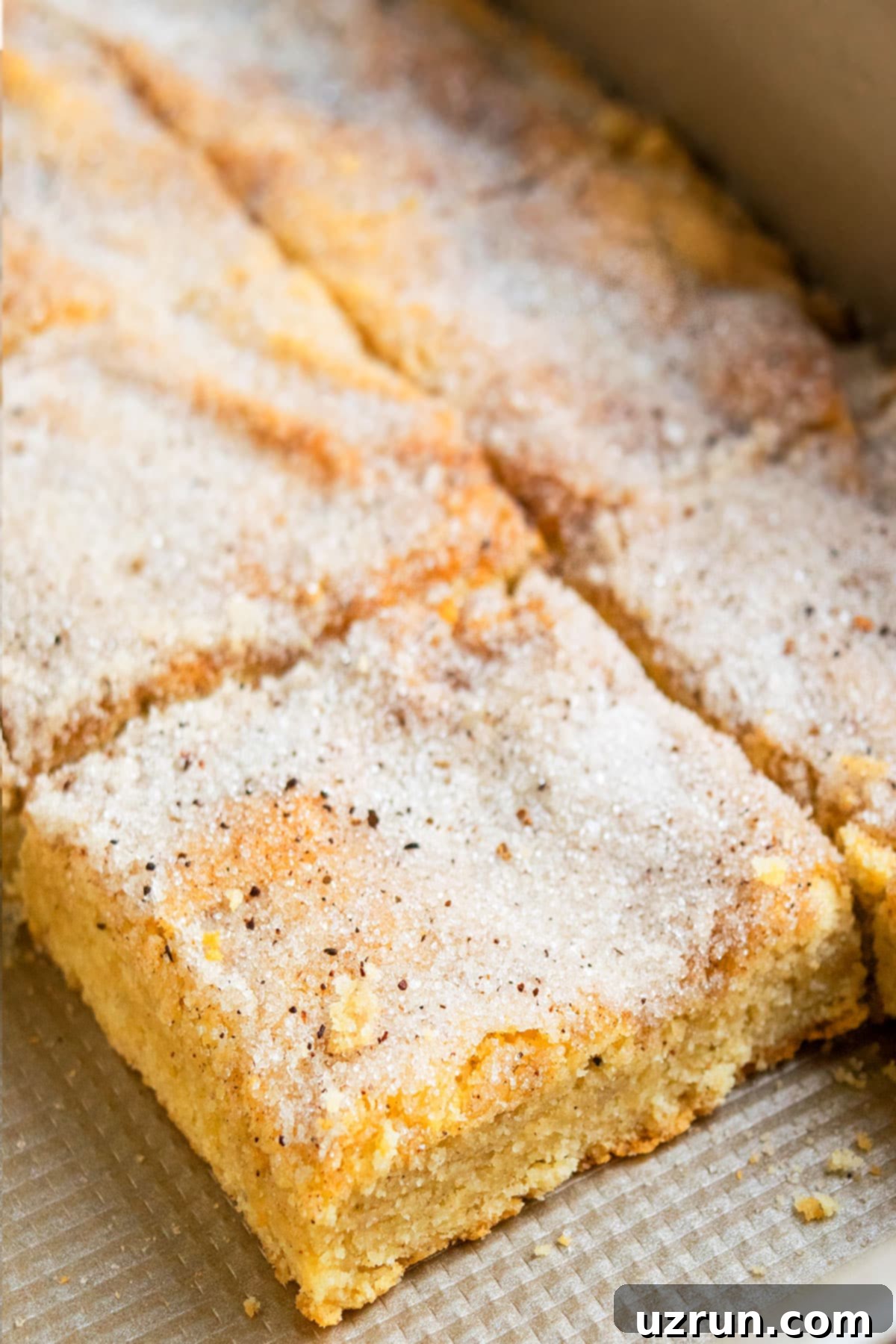 Perfectly Soft and Chewy Snickerdoodle Bars 3 Slice of Spiced Cookie Bar in Rectangle Baking Pan- Closeup Shot.