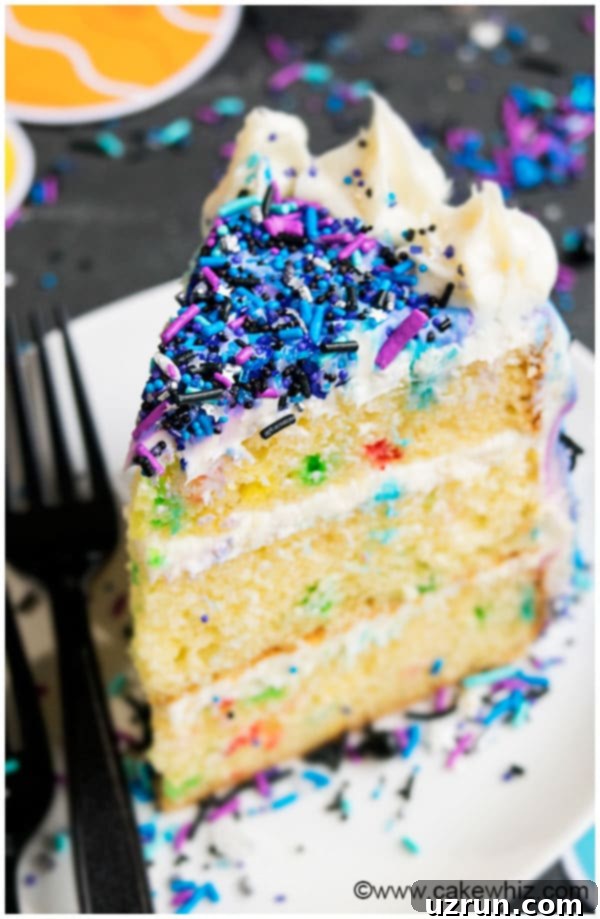 Easy Buttercream Galaxy Cake 4 Slice of Cake With Sprinkles on White Dish.