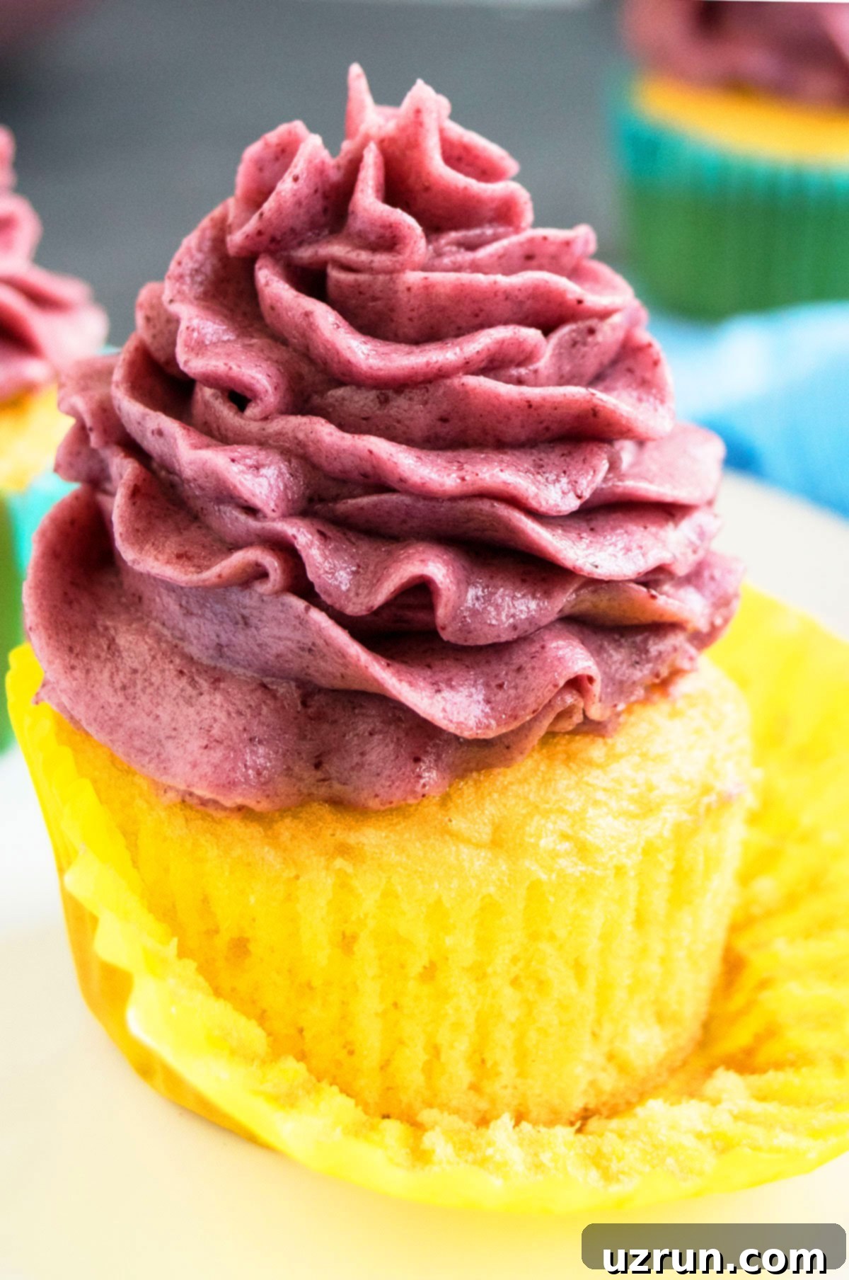 Easy fresh blackberry buttercream frosting piped on top of vanilla cupcake.