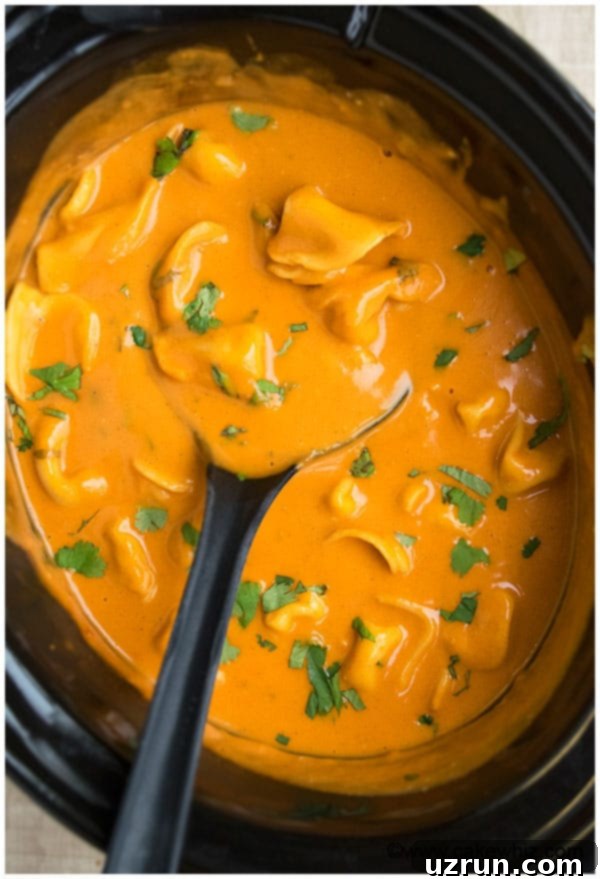 Slow Cooker Tomato Tortellini Soup Recipe From Scratch 5