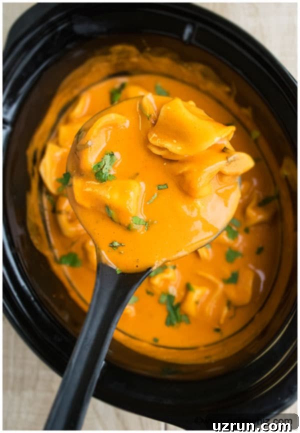 Tomato Tortellini Soup Recipe 6