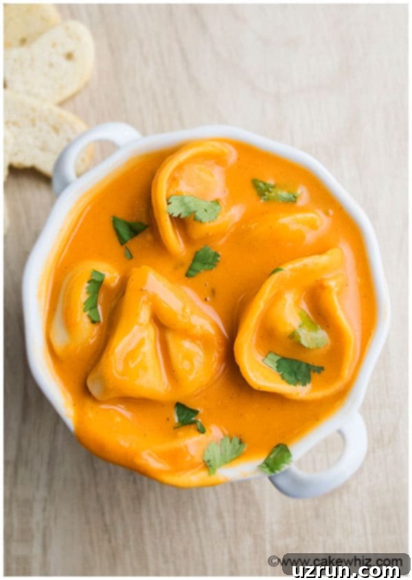 Slow Cooker Tomato Tortellini Soup Recipe (Easy Weeknight Dinner) 2
