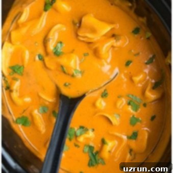 Creamy Tomato Tortellini Crockpot Soup 6 Easy Tomato Tortellini Soup in Black Slow Cooker.