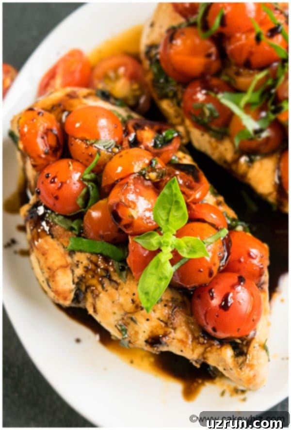 Chicken Bruschetta Recipe