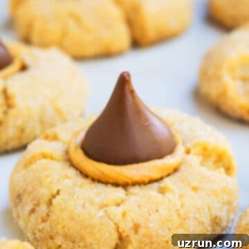Easy Peanut Butter Blossoms with Hershey's Kisses 14 Easy Classic Peanut Butter Blossoms on White Marble Background.