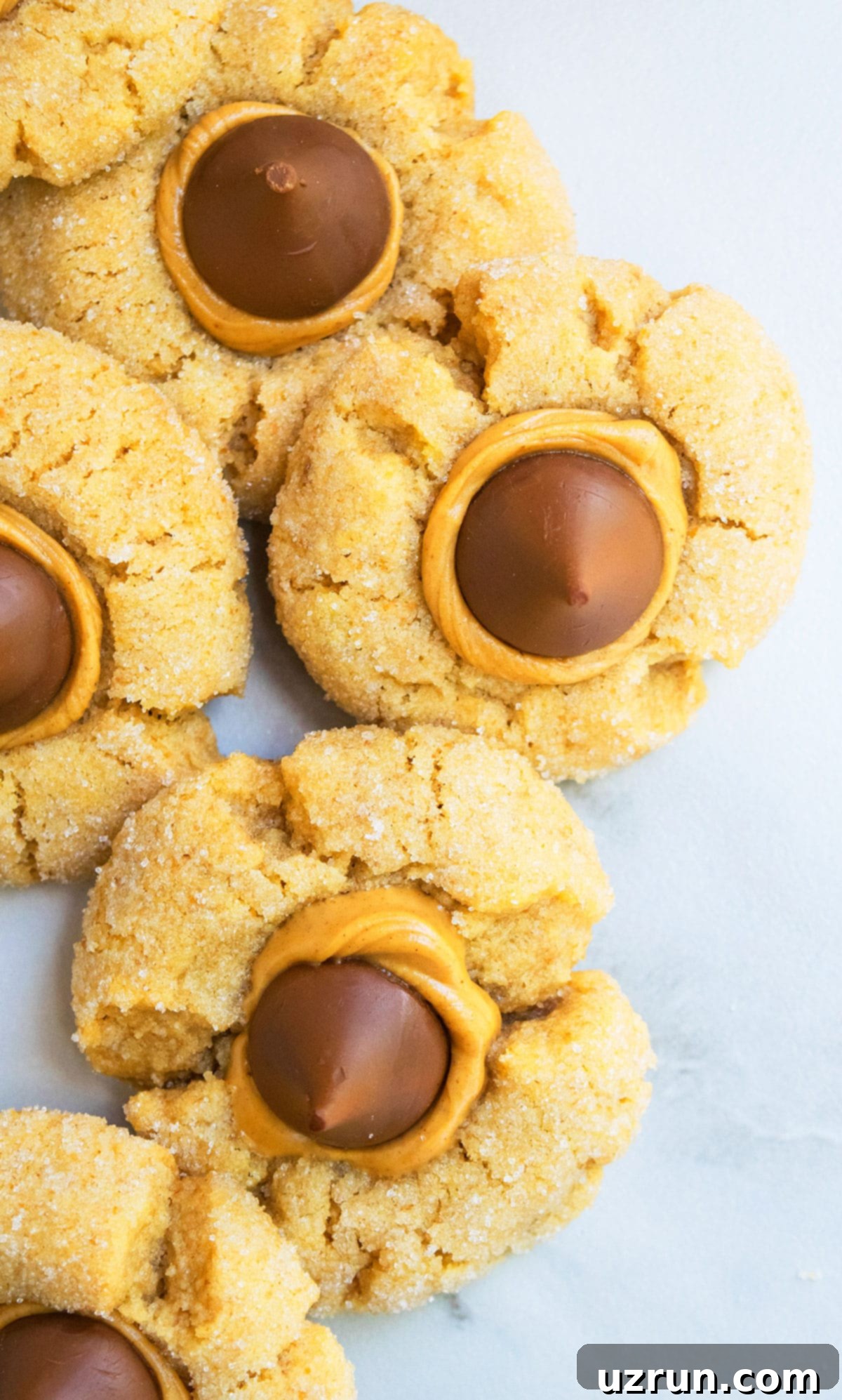 Easy Peanut Butter Blossoms with Hershey's Kisses 3 Peanut Butter Thumbprint Cookies Filled With Peanut Butter and Chocolate Kiss on White Marble Background.