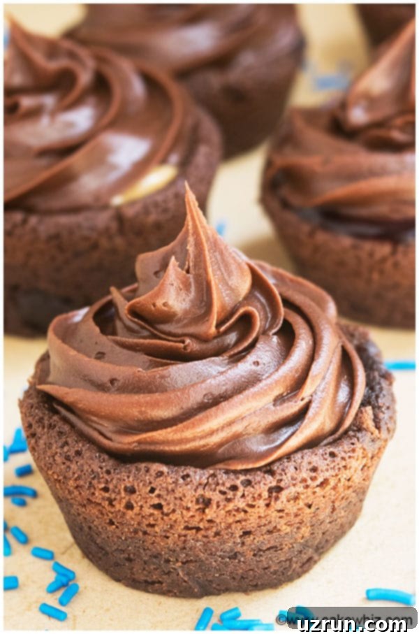 Easy Brownie Cupcakes Recipe