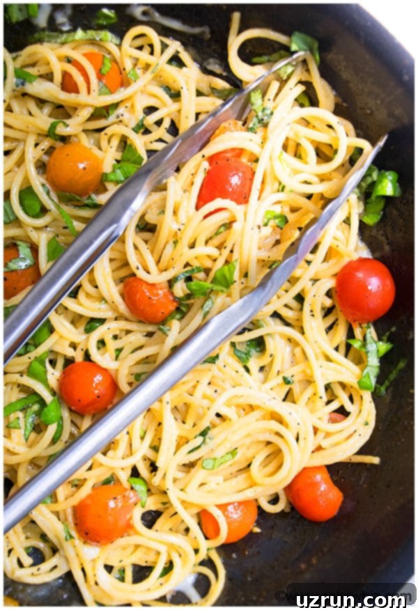 20 Minute One Pot Tomato Basil Pasta Recipe