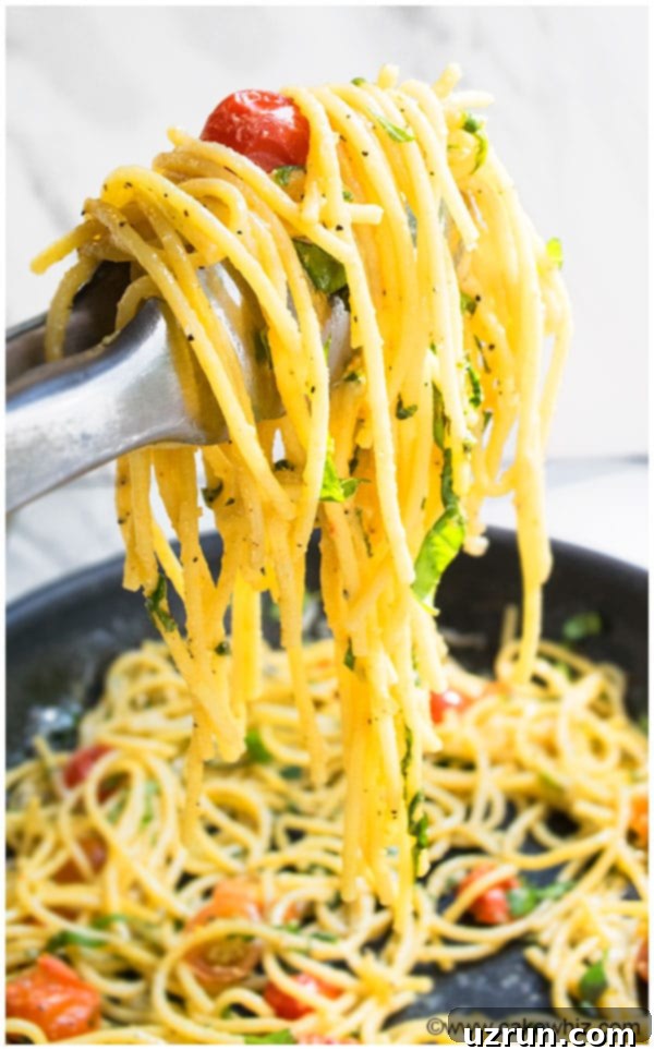 One Pot Tomato Basil Pasta Recipe