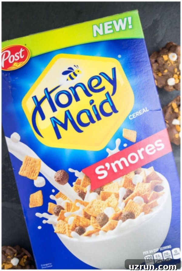 Effortless No-Bake Breakfast Muffins 4 Honey-maid-cereal-campaign