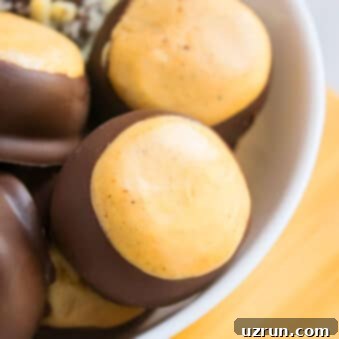 Quick & Easy Peanut Butter Buckeyes 7 Easy Buckeyes Recipe (Chocolate Peanut Butter Balls) in White Bowl.