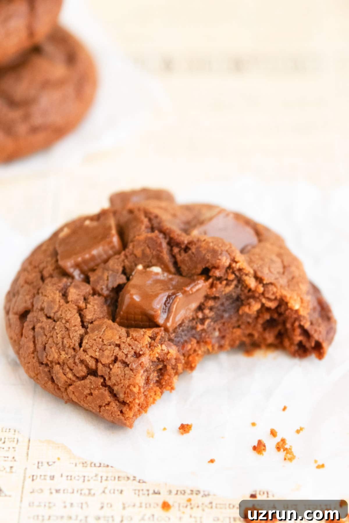 Easy Nutella Chocolate Chip Cookies 6 Closeup Shot of Homemade Cookie on Sheet of Parchment Paper.