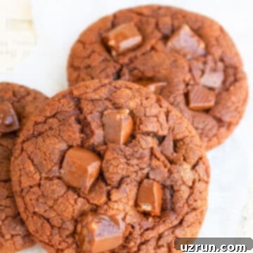 Easy Nutella Chocolate Chip Cookies 7 Chewy Easy Nutella Cookies Placed on Old Newspaper.