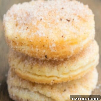 Flaky Pie Crust Churro Cookies 7 Stack of Easy Churro Cookies With Pie Crust on Rustic Wood Background