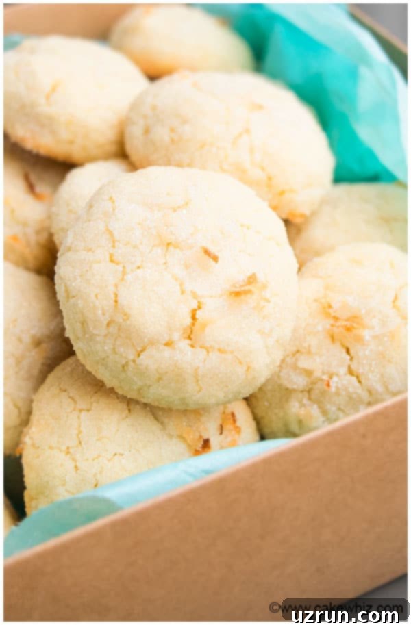 Irresistible Chewy Coconut Cookies 3 Easy Coconut Cookies Recipe 1