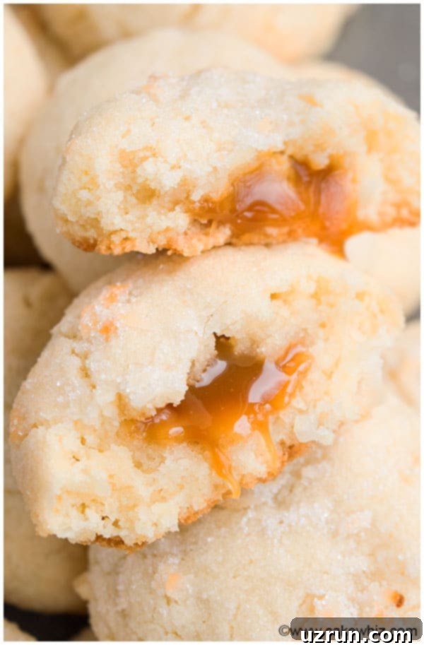 Irresistible Chewy Coconut Cookies 4 Coconut Cookies Recipe From Scratch