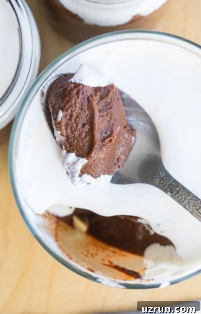 Velvety Vegan Chocolate Dreams 3 Spoonful of Pudding- Closeup Shot.