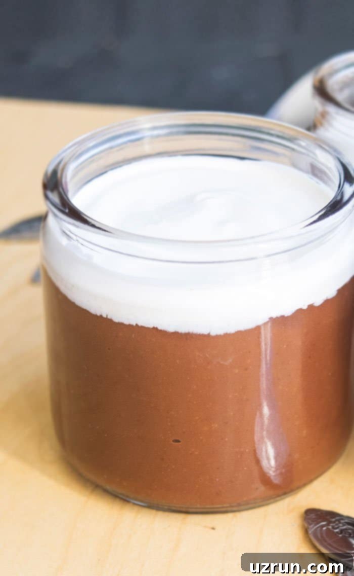 Velvety Vegan Chocolate Dreams 4 Vegan Pudding With Whipped Cream in Glass Jar.