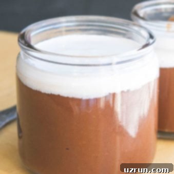 Velvety Vegan Chocolate Dreams 5 Easy Vegan Chocolate Pudding in Glass Jar (No eggs and no milk).