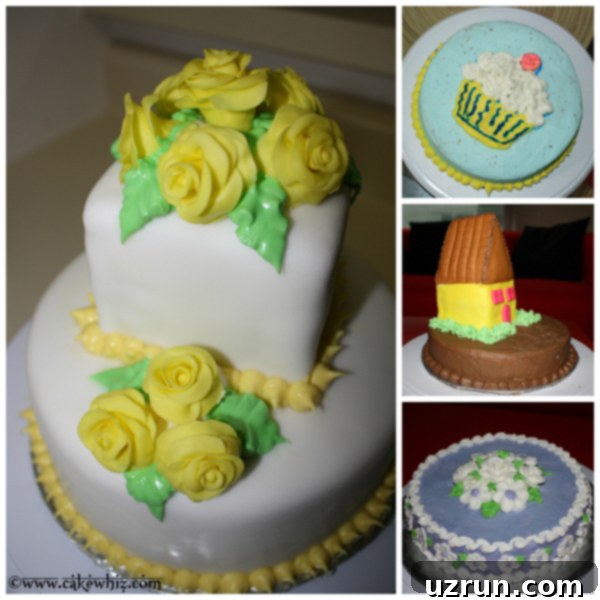 my early cake disasters 1