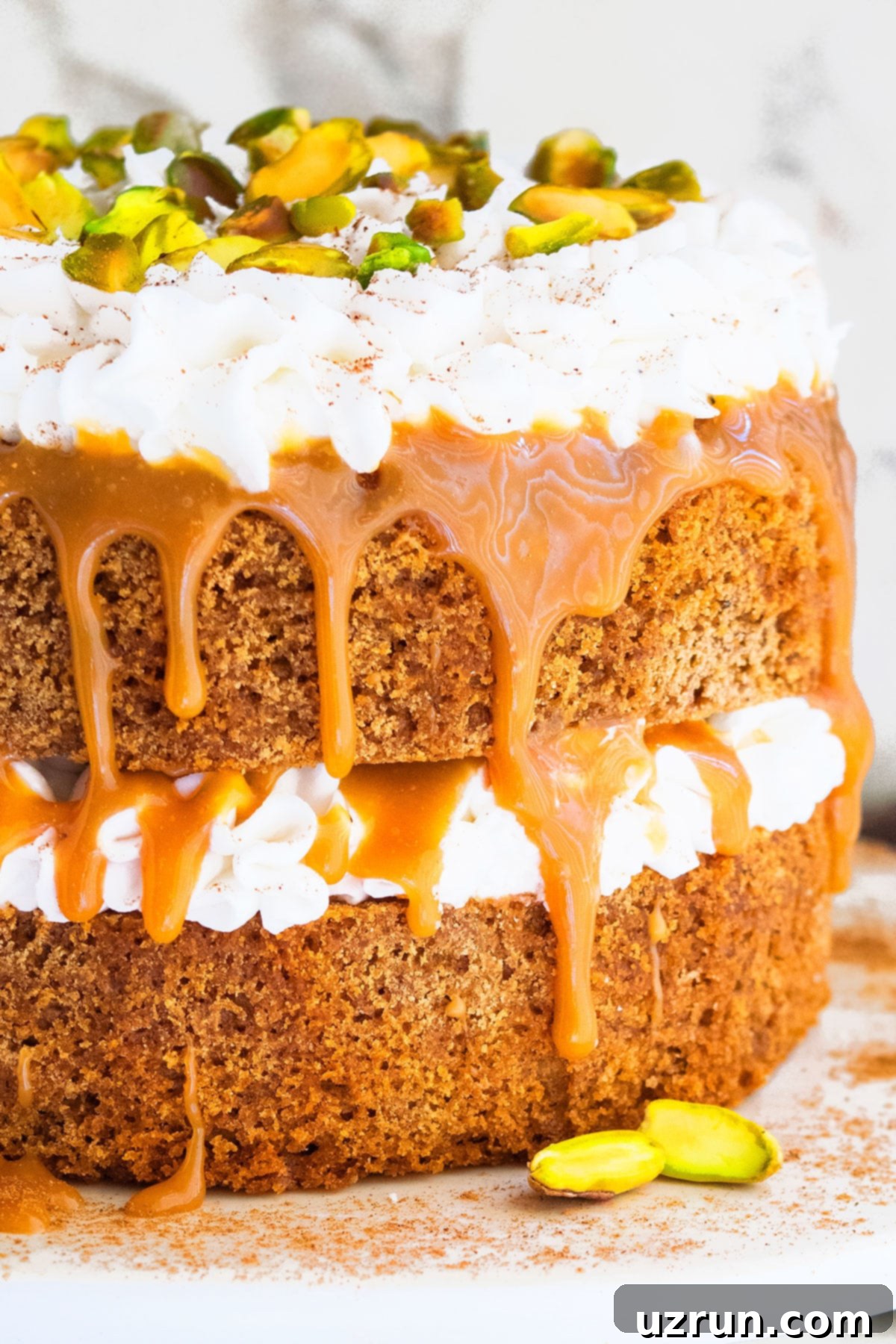 Easy Chai Spice Cake 3 Closeup Shot or Layer Cake and its Fillings With White Marble Background.