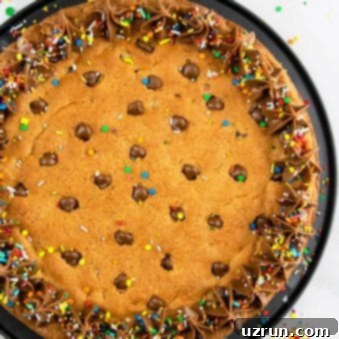 Cake Mix Chocolate Chip Cookie Cake 5 Easy Chocolate Chip Cookie Cake with Chocolate Frosting Served on a Black Plate