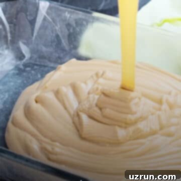 Chocolate Peanut Butter Swirl Fudge 6 Fudge mixture being poured into lined pan.