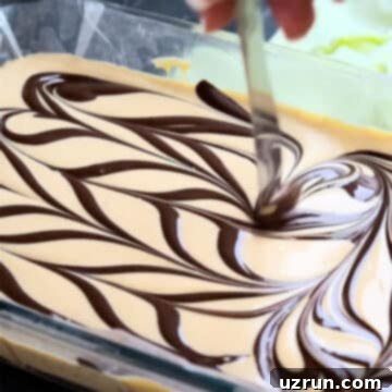 Chocolate Peanut Butter Swirl Fudge 8 Melted chocolate being swirled on top of fudge batter.