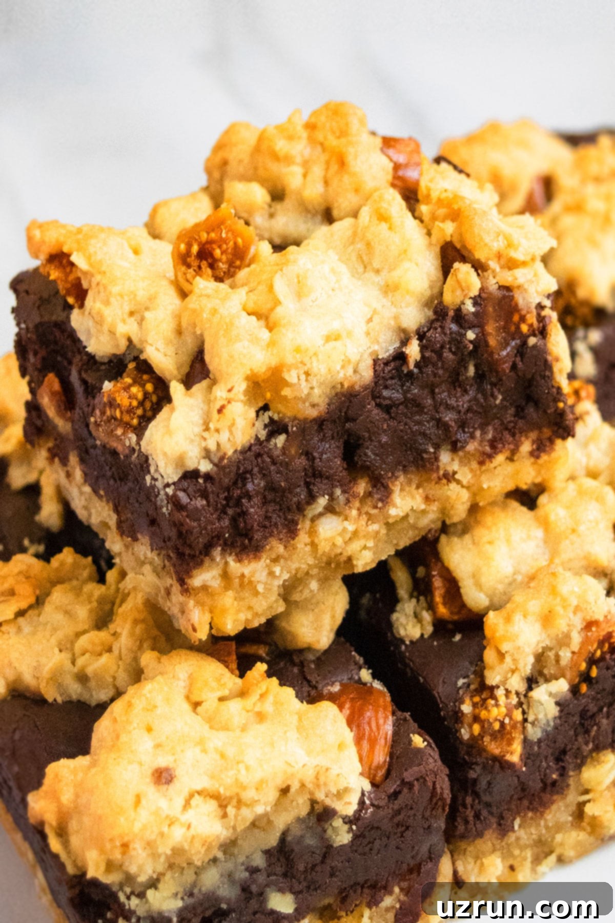 Chocolate Oatmeal Crumb Bars 3 Closeup shot of a chocolate chip layer bar, revealing the rich fudgy texture and delicious crumbly topping.