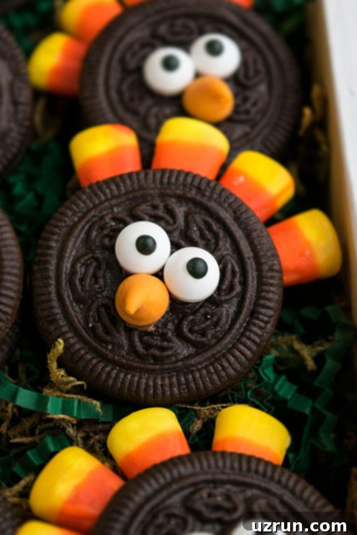 Easy No-Bake Oreo Turkey Cookies with Candy Corn Feathers 3 Decorated Oreos For Fall and Thanksgiving on Tray- Closeup Shot.