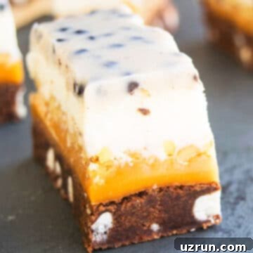Five-Layer Chocolate Cookie Bars 13 Slices of Chocolate Cookie Bars With 5 Layers on Black Stone Background.