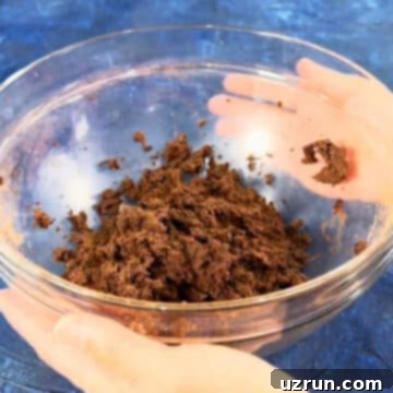 Five-Layer Chocolate Cookie Bars 4 Chocolate cookie dough in glass bowl.