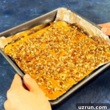 Five-Layer Chocolate Cookie Bars 7 Chopped pecans sprinkled on top of melted caramel.