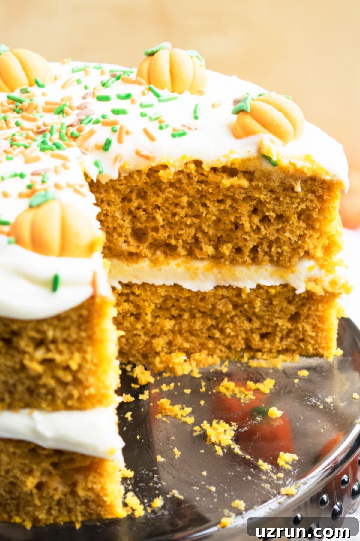 Simple Cake Mix Pumpkin Cake 5 Closeup Shot of Spiced Layer Cake With One Slice Removed
